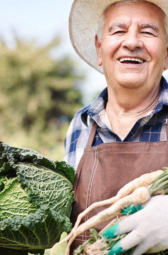 Englisch Sprachkurse: Unterrichtsplan und Lernmaterialien im Kurs